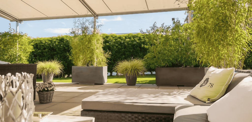 Backyard Privacy Ideas
